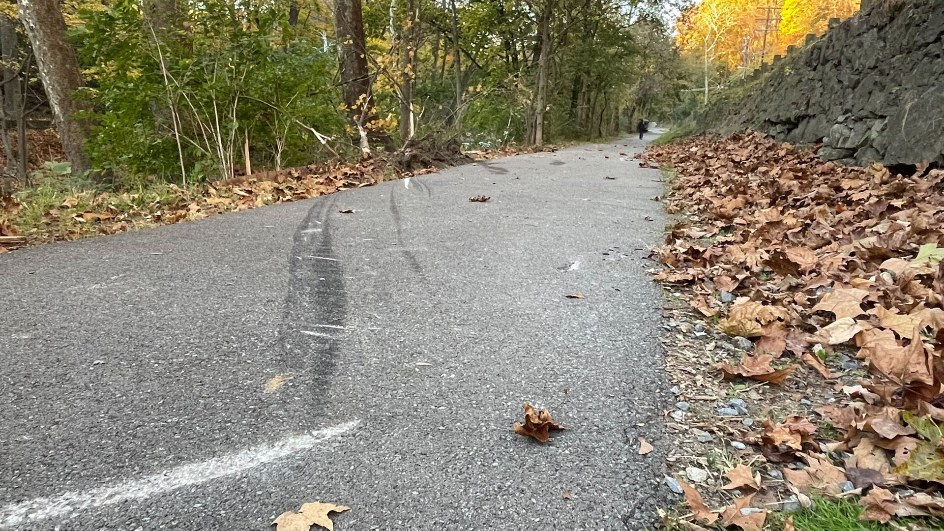 Skid marks from EASD school bus